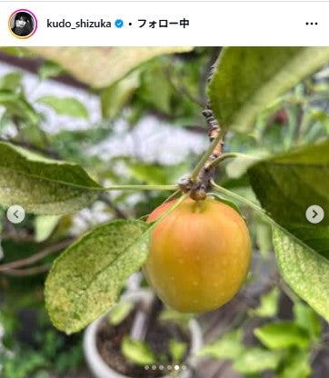 工藤静香Instagramより