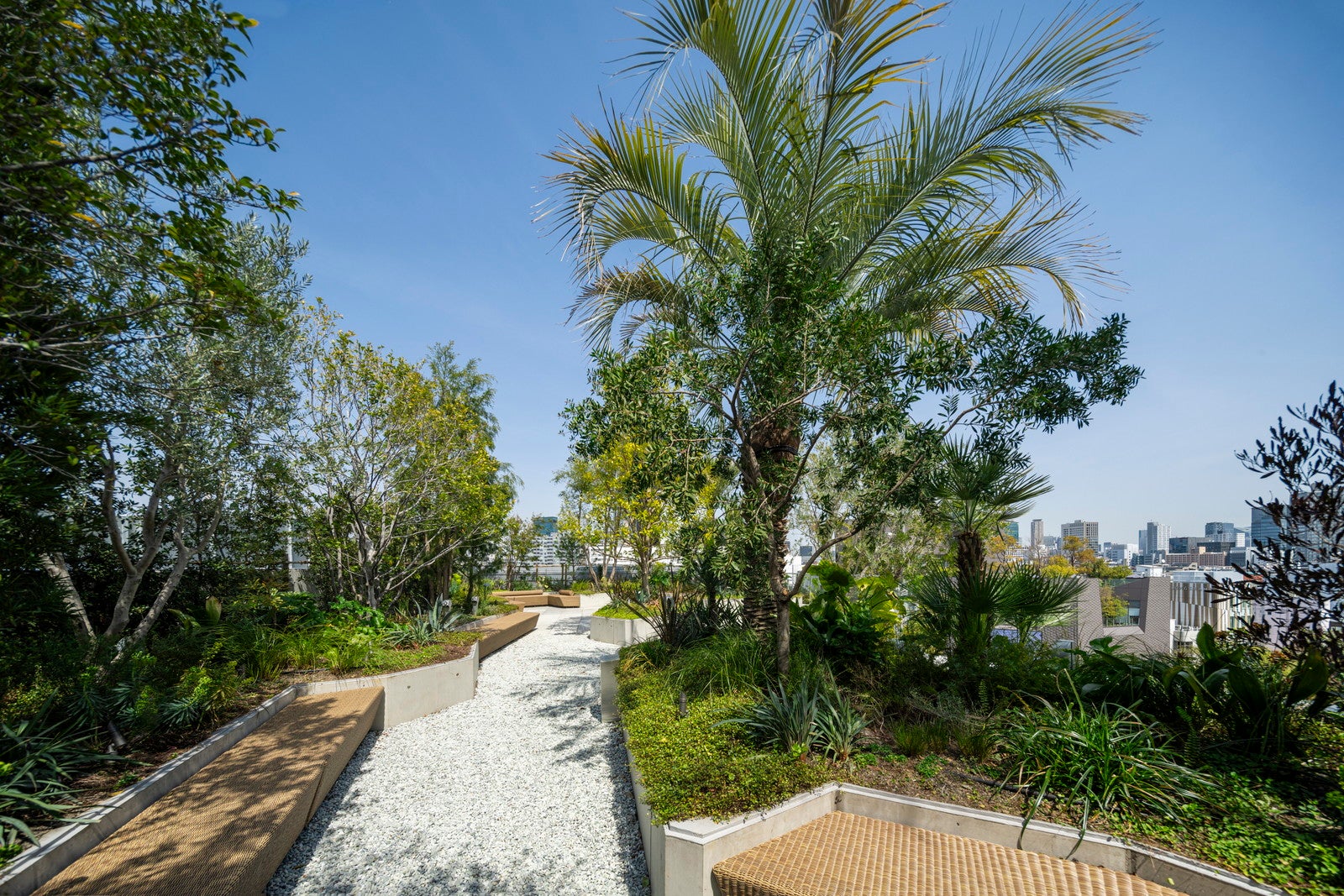 東急プラザ原宿「ハラカド」／提供画像