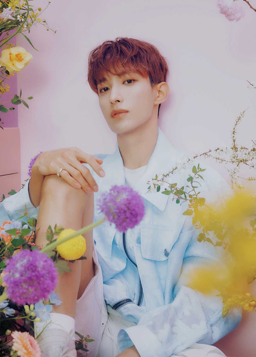 DK（P）＆（C）PLEDIS Entertainment