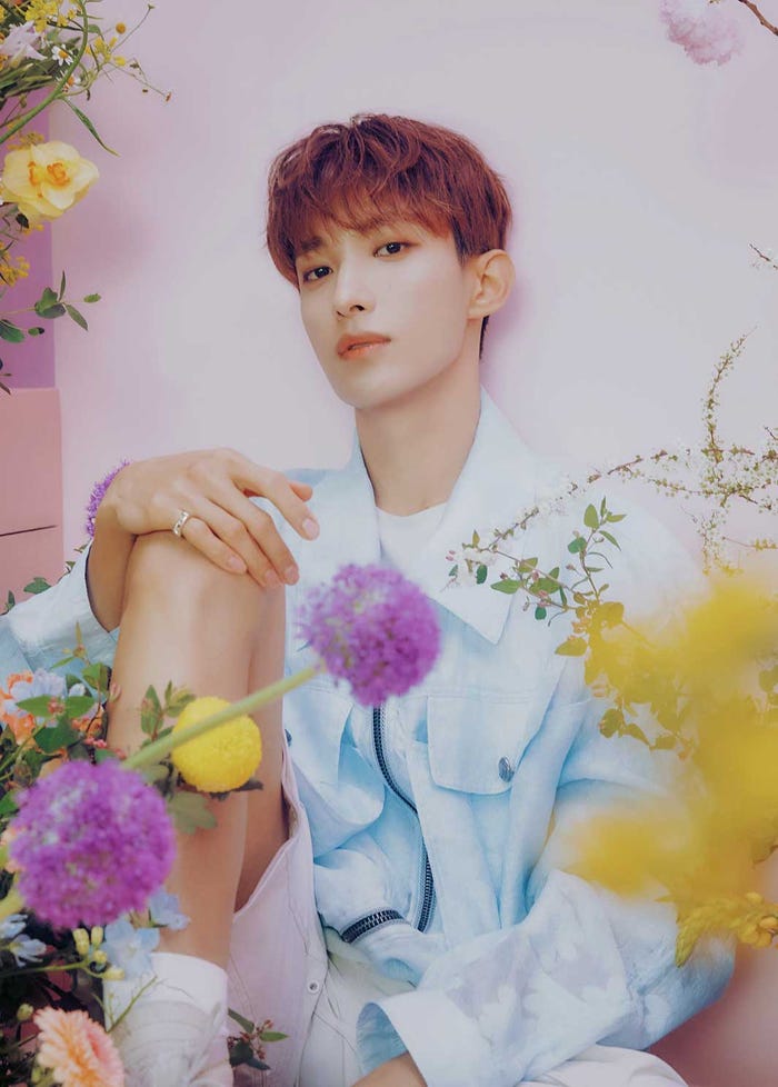 DK(P)&(C)PLEDIS Entertainment