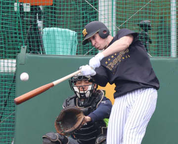 阪神 大山＆ディベイニーがランチ特打で花火大会 大山は15発 ディベイニーも看板直撃弾を含む5発 歓声→ファンにペコリとお辞儀し宜野座沸かせる