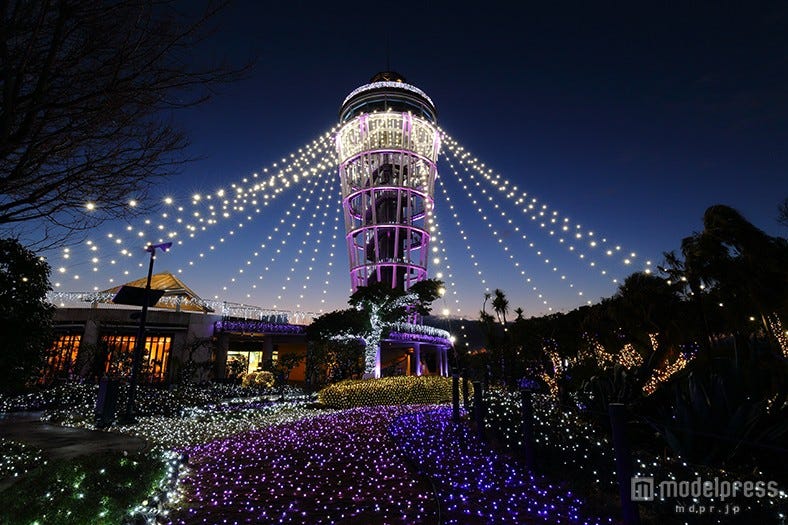 キラキラの宝石イルミ空間が出現 圧倒的な輝きで湘南を彩る