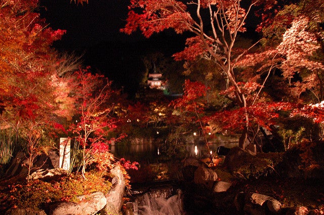 禅林寺（永観堂）／DSC_1146 by Marufish