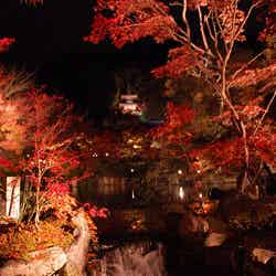 禅林寺(永観堂)/DSC_1146 by Marufish