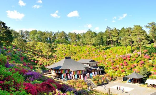 モフモフの絶景 東京にあるツツジの名寺がヤバかわいい 女子旅プレス モフモフの絶景 東京にあるツツジの名寺がヤバかわいい 女子旅プレス