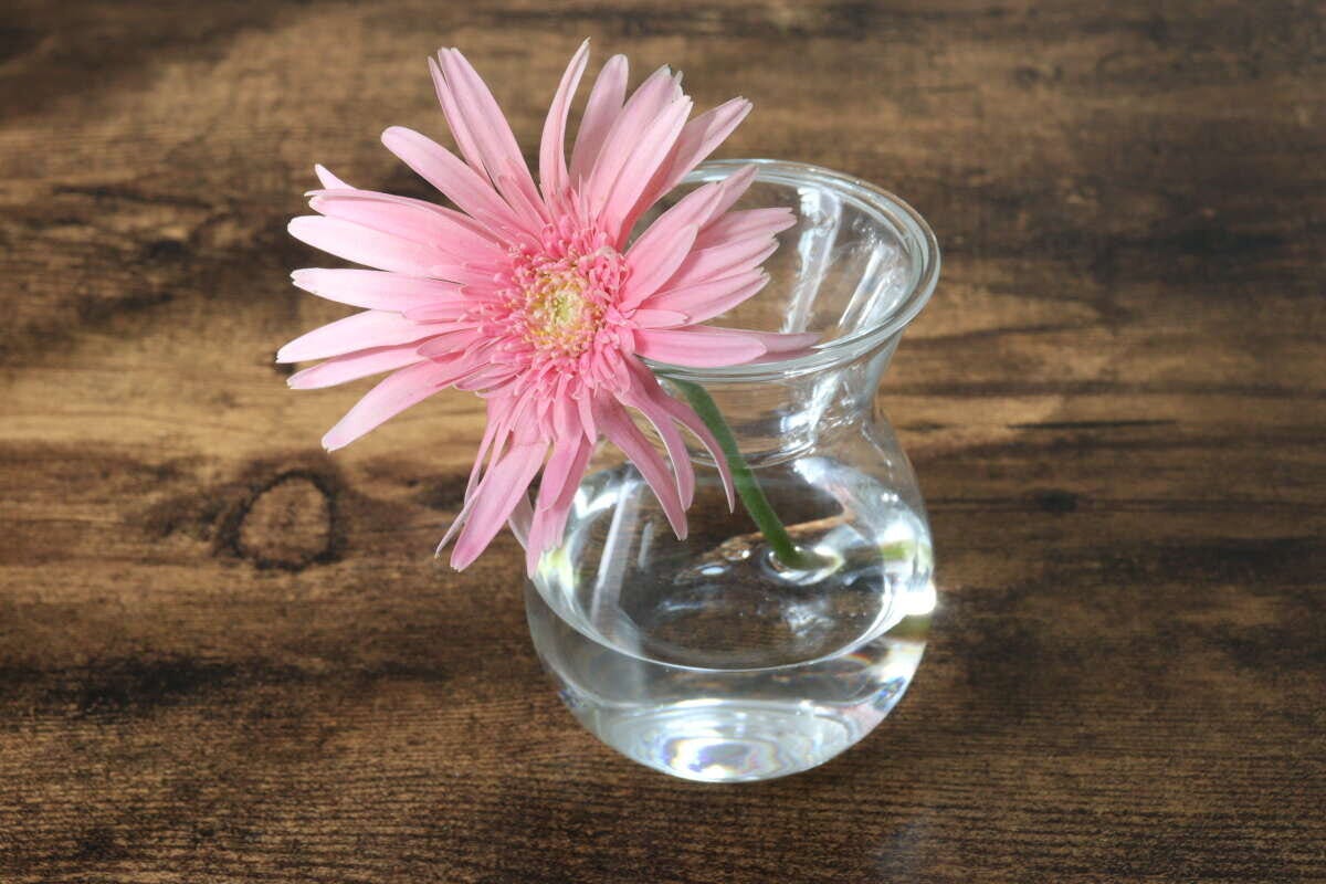 セパレート花瓶　使用例