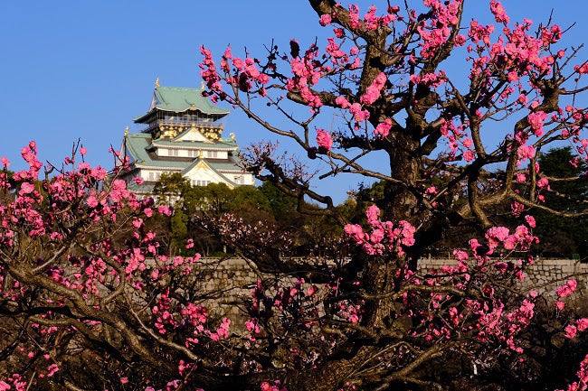 大阪城梅林／画像提供：ニュー・オータニ