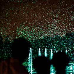 バブルミネーション/提供画像