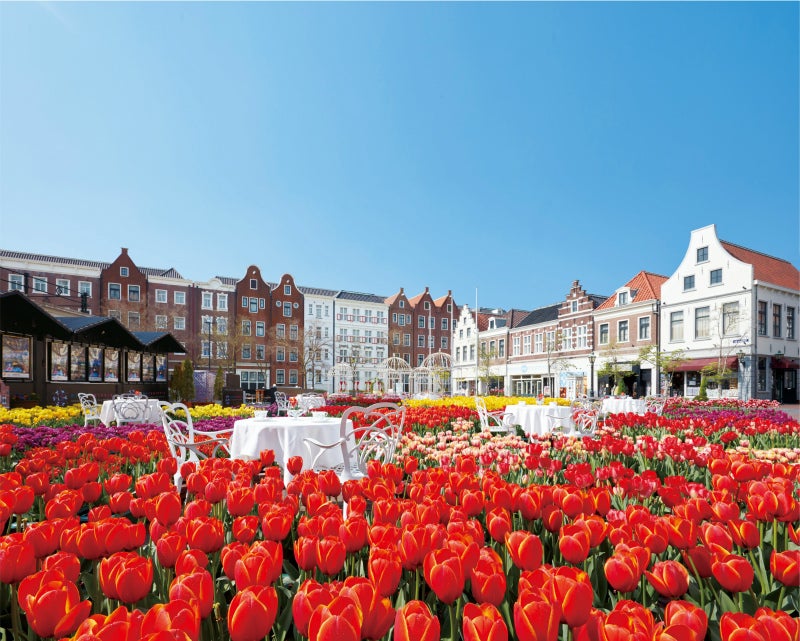 100万本の大チューリップ祭／画像提供：ハウステンボス