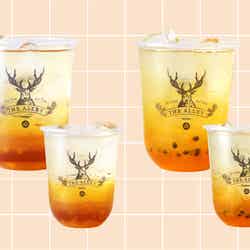 はちみつ檸檬グリーンティー/ソーダ、トロピカルフルーツティー/ソーダ/提供画像