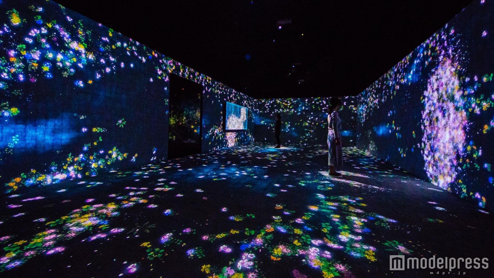 花と人、コントロールできないけれども、共に生きる／画像提供：チームラボ