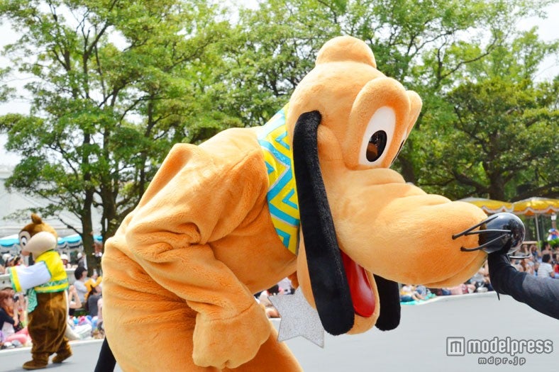 触れ合うプルート／七夕グリーティング