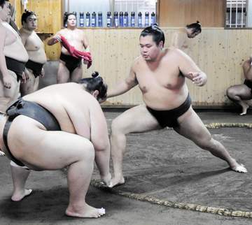 母校の進学校が甲子園出場の大相撲力士、庄司「自分も頑張ります」横手の奮闘が刺激に
