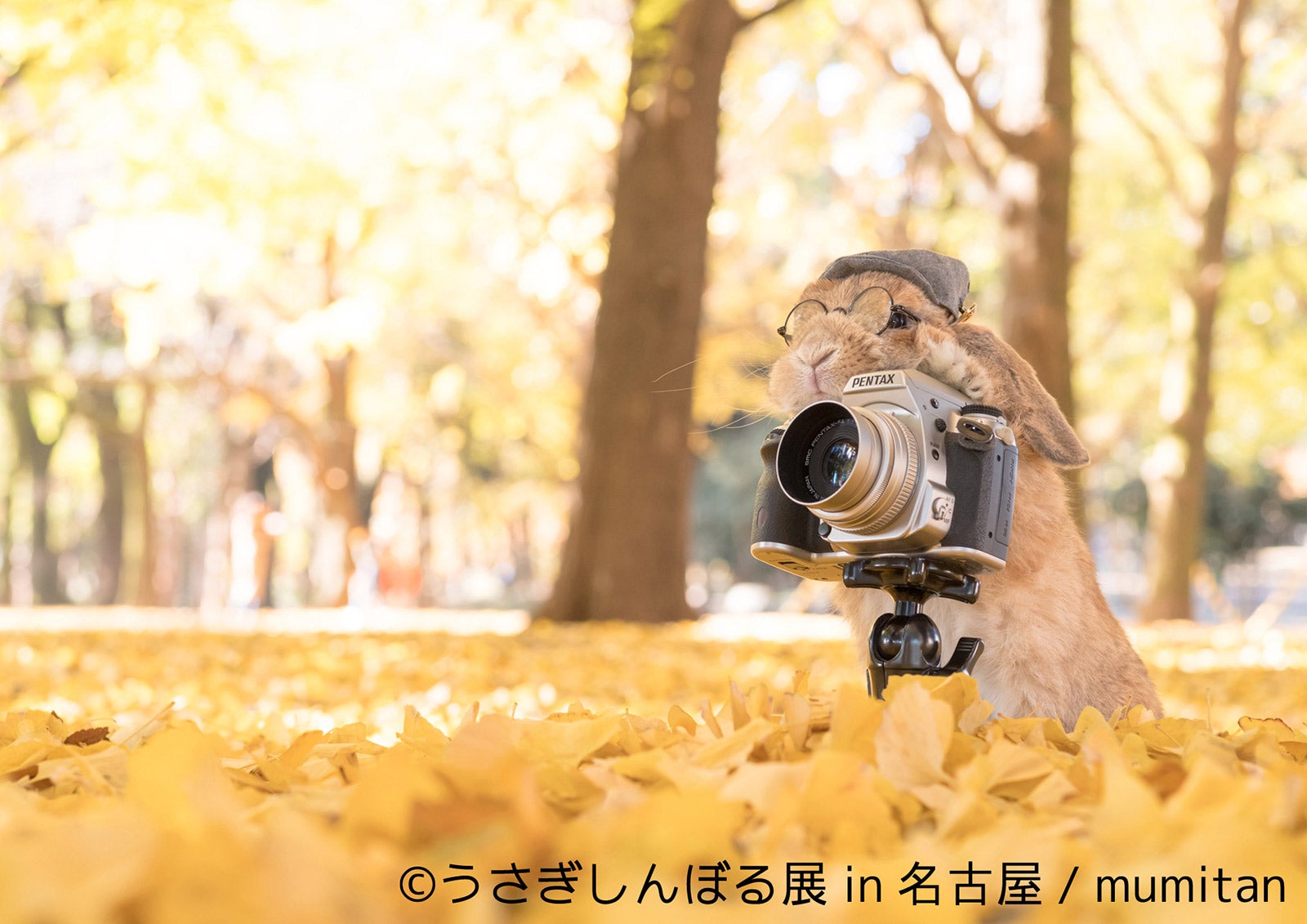 「うさぎしんぼる展 in 名古屋」／画像提供：株式会社BACON