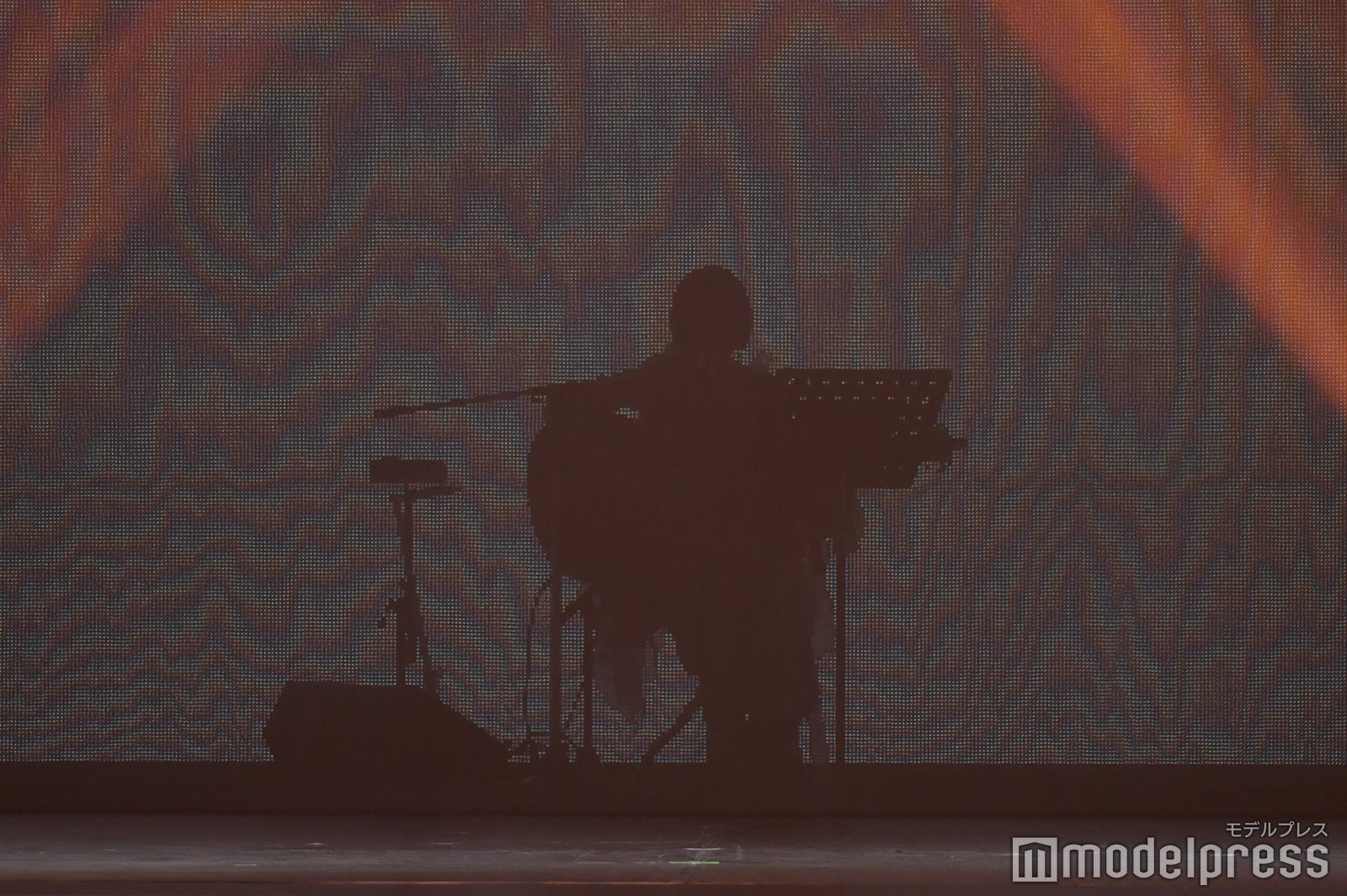 シルエットで登場したりりあ。（C）モデルプレス