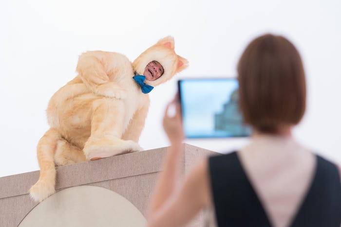 番組の様子(C)NHK