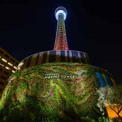 マリンタワー/提供画像