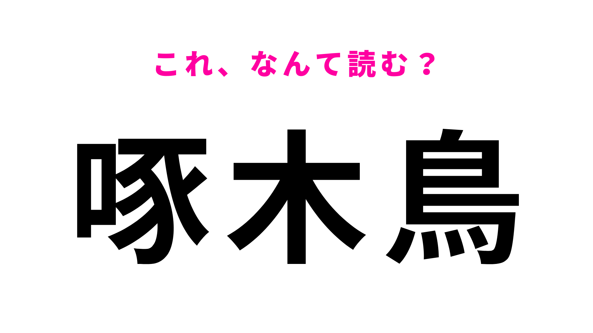 【漢字クイズ】「啄木鳥」はなんて読む？“つつく”鳥といえば…？