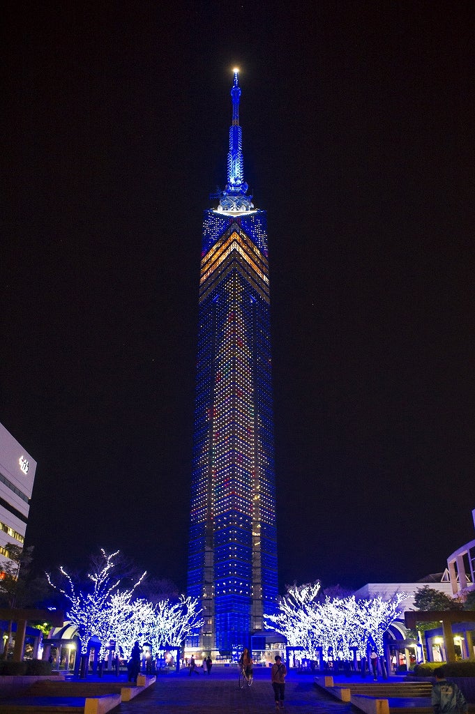 全長108mのクリスマスツリー／画像提供：福岡タワー