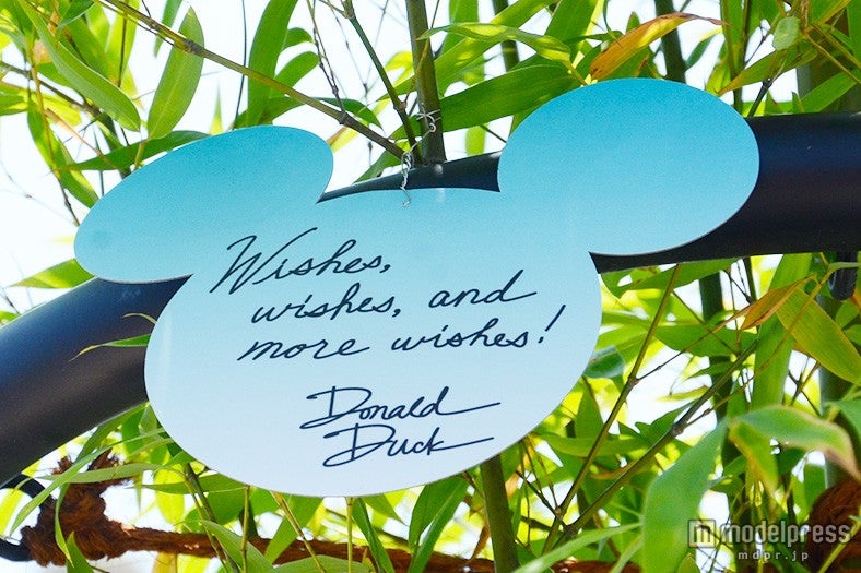 ドナルドダックのウィッシングカード
