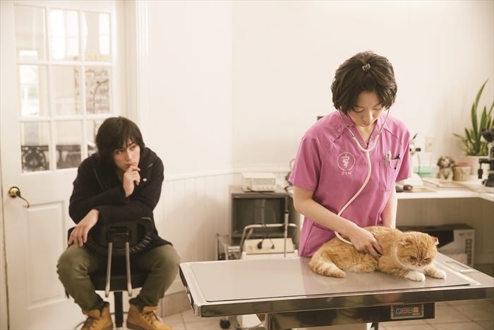 獣医の純(夏帆)に10年間も片思いをしていて…(C)2016森本梢子/集英社・ 映画「高台家の人々」製作委員会