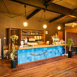 アースステイ青島(C)モデルプレス