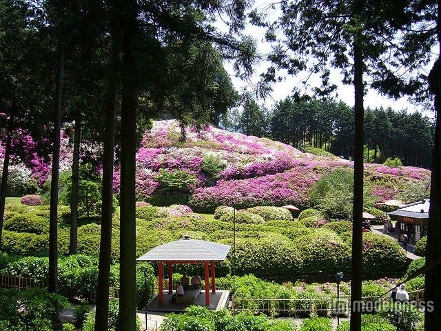 京都でおすすめの初夏の過ごし方4選