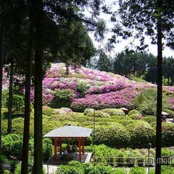 京都でおすすめの初夏の過ごし方4選