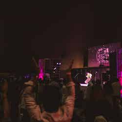 花見灯夜2026/提供画像