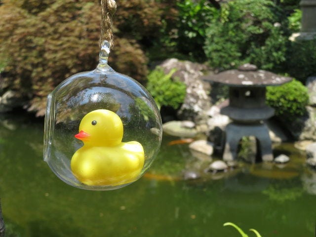 写真を撮る手が止まらない！夏にしか見られない「奈良の絶景」