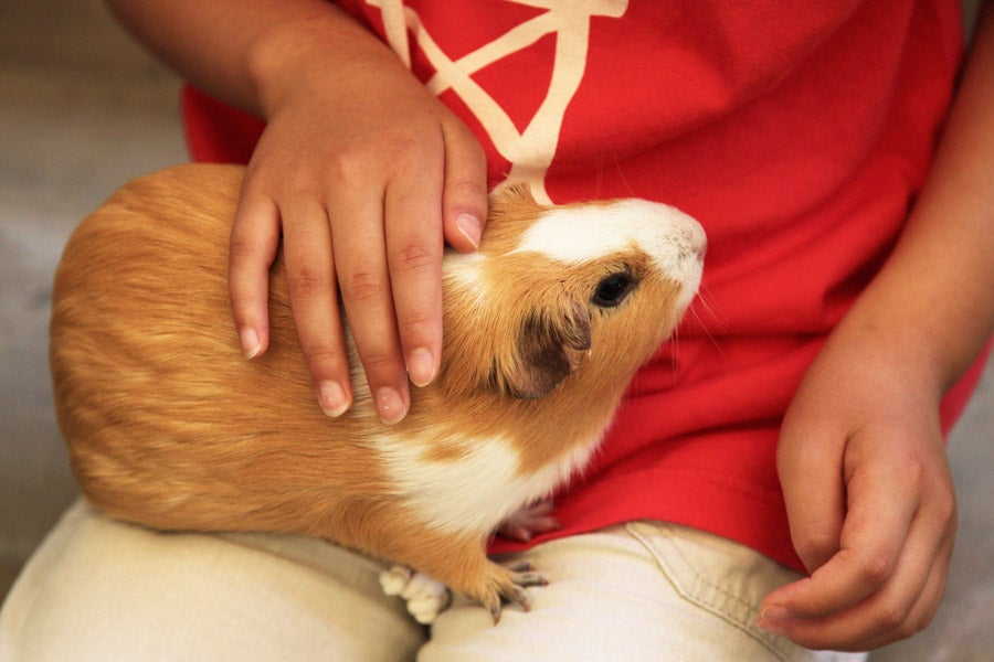 井の頭自然文化園