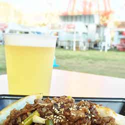 野菜たっぷりの肉料理も/画像提供:AATJ