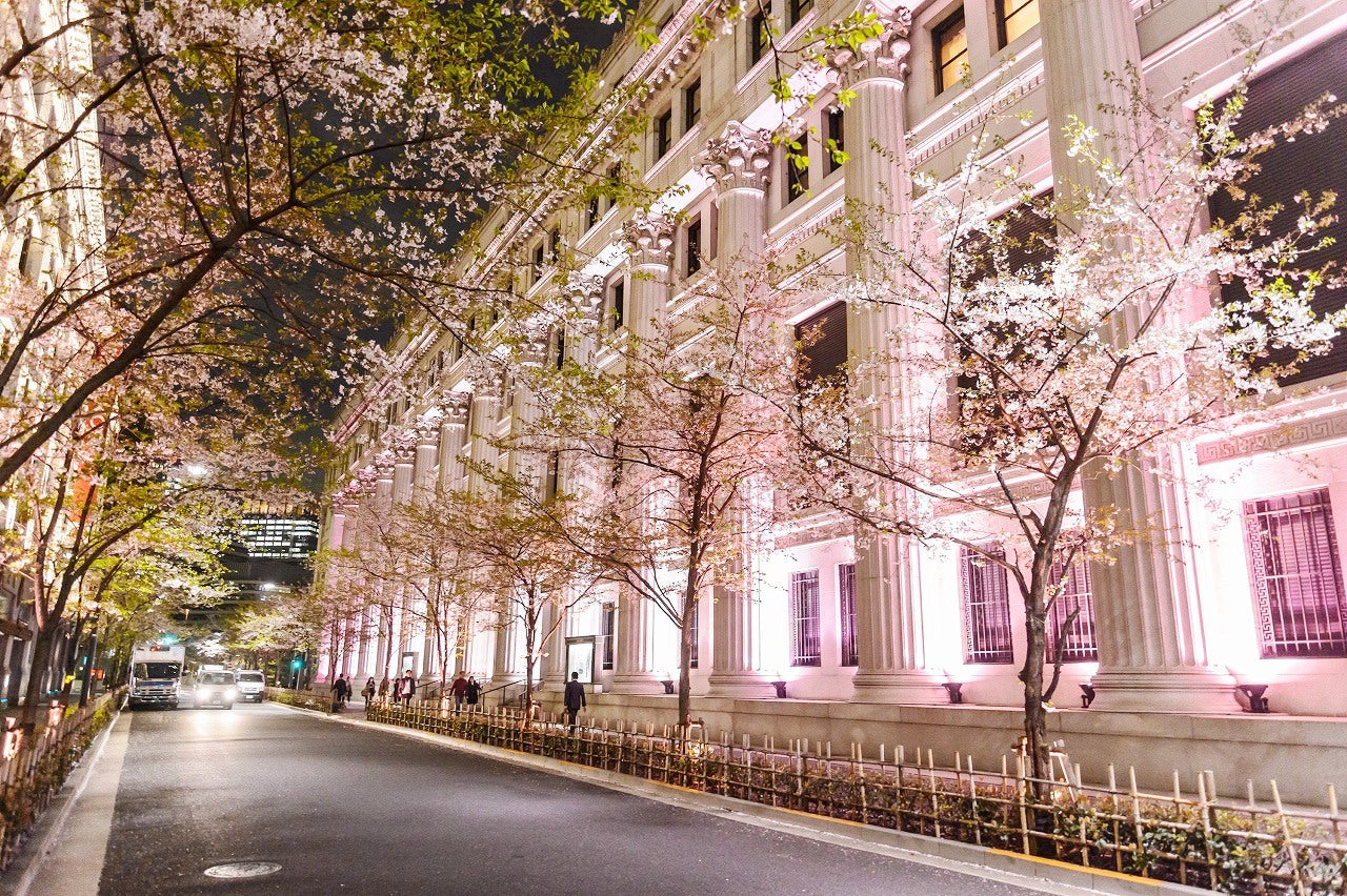期間中、街全体が桜色に染まる／画像提供：日本橋桜フェスティバル実行委員会