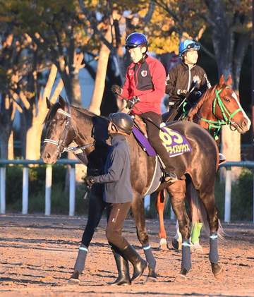 【天皇賞・秋】リアライズシリウス 坂路で軽快脚さばき披露 津村も好感触「いいフィニッシュ」