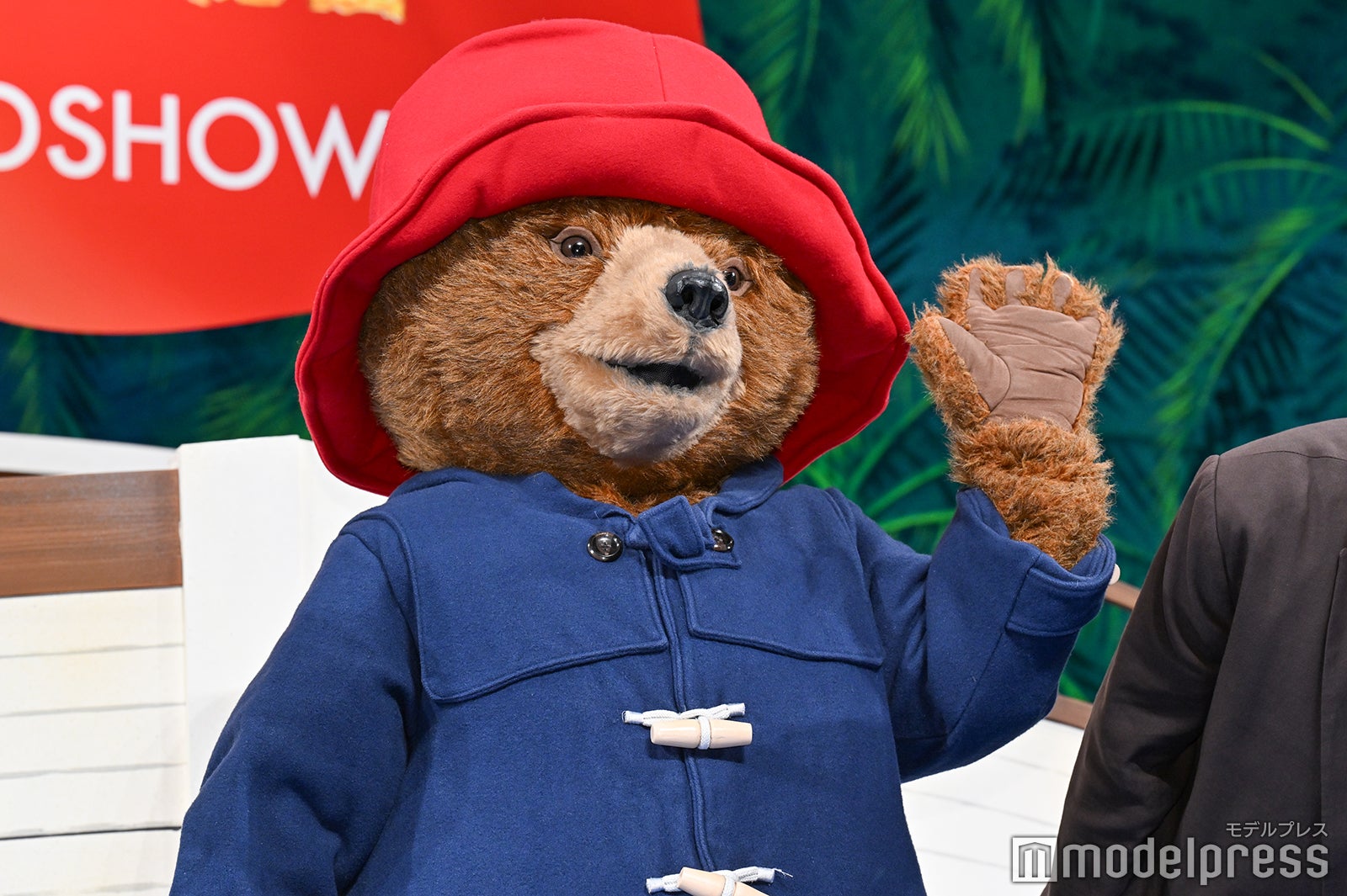 パディントン（C）モデルプレス