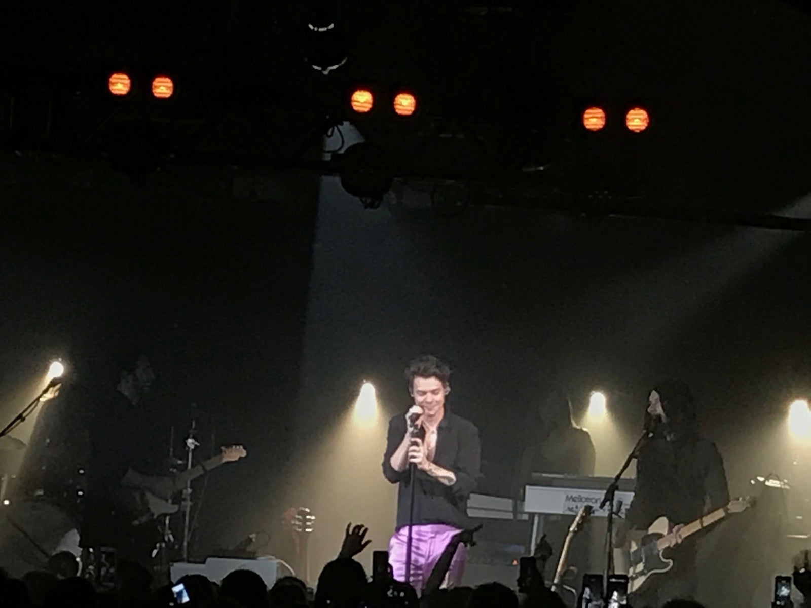 ハリー・スタイルズ（提供画像）