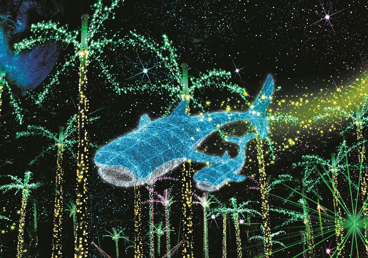 沖縄南国イルミネーション2024-2025／提供画像