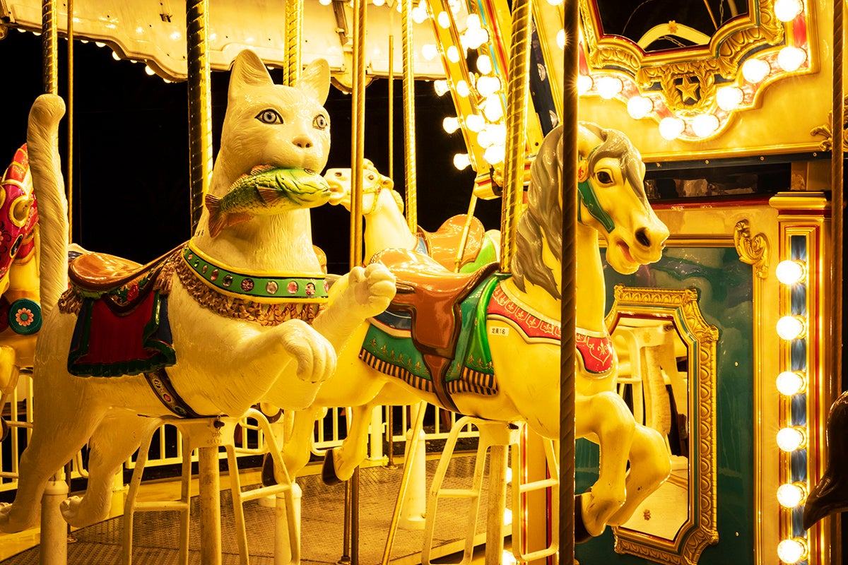 伊豆高原グランイルミ／画像提供：伊豆シャボテン公園