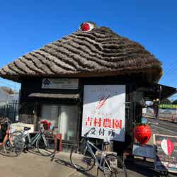 吉村農園/提供画像