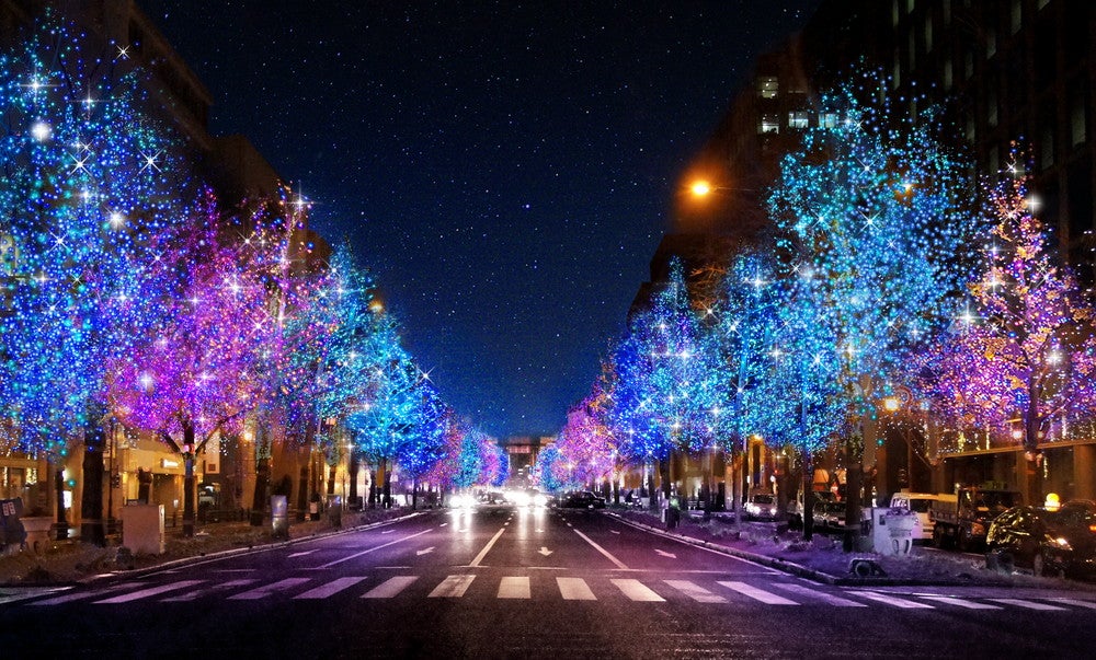 御堂筋イルミネーション（C）大阪・光の饗宴実行委員会