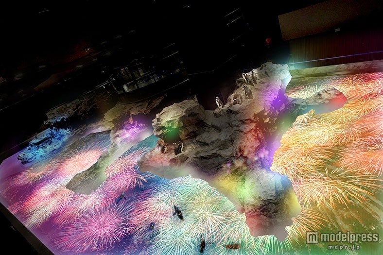 巨大ペンギン水槽に色鮮やかな花火のプロジェクションマッピング実施