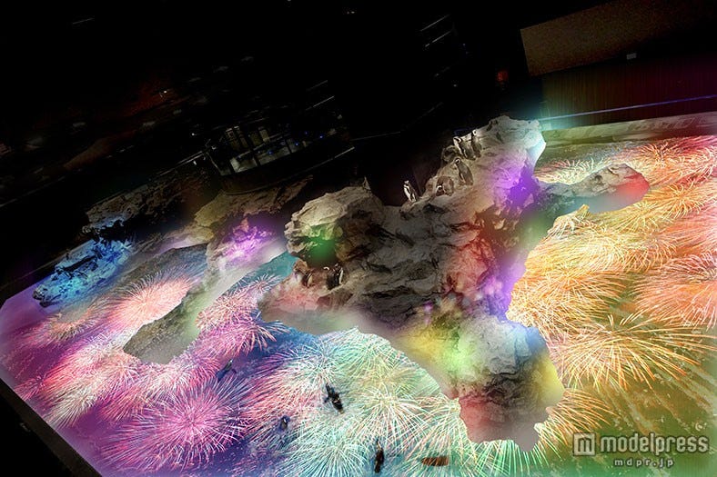 巨大ペンギン水槽に色鮮やかな花火のプロジェクションマッピング実施
