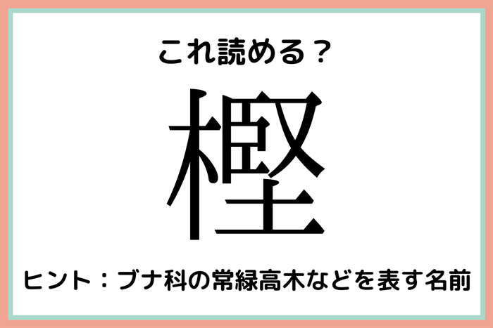 樫 堅い木 読めたらスゴイ 木へんの難読漢字 4選 モデルプレス 樫 堅い木 読めたらスゴイ 木へんの難読漢字 4選 モデルプレス