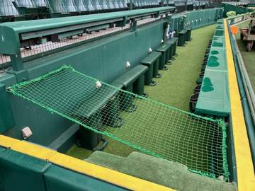 甲子園球場に転落防止のネット設置 18日に中日・福永が頭から転落で迅速に対応
