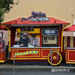 ステージ 22前ポップコーンカート(C)モデルプレス