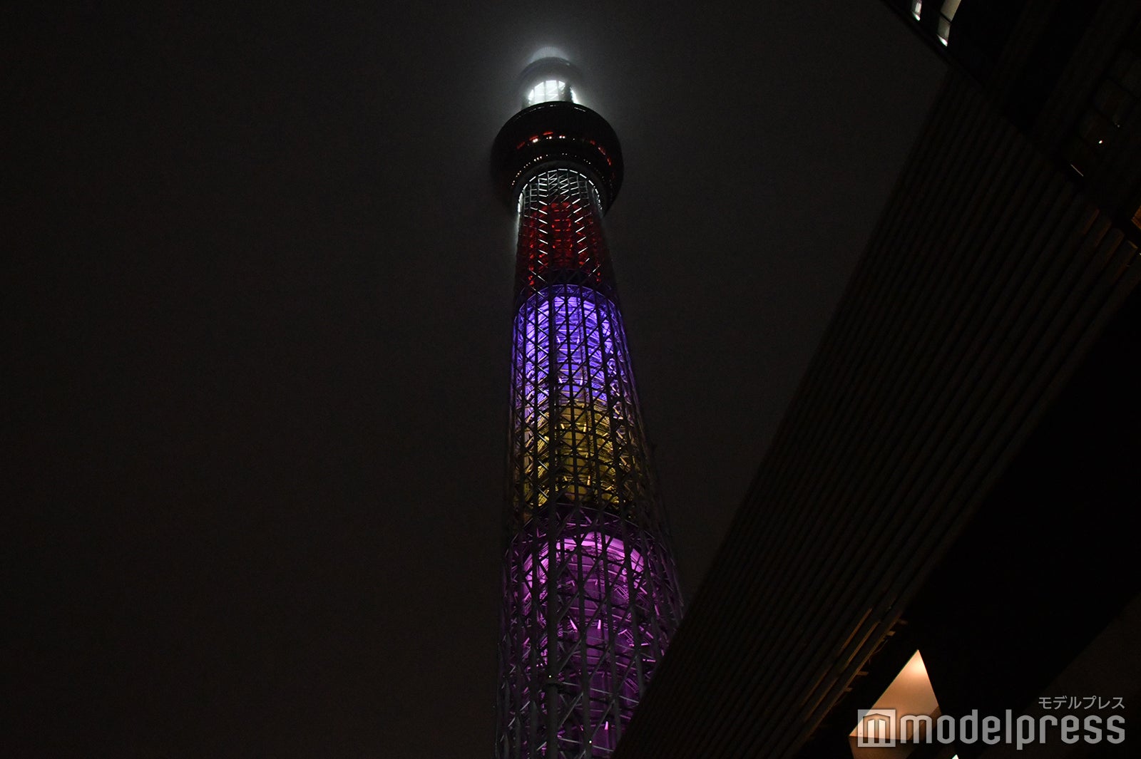 東京スカイツリー（C）モデルプレス