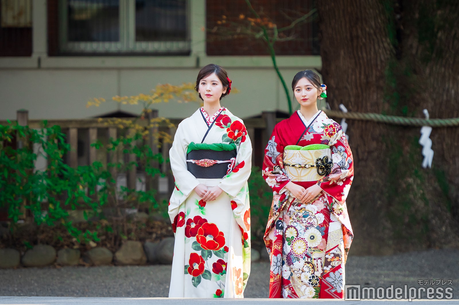 筒井あやめ、井上和／乃木坂46成人式（C）モデルプレス