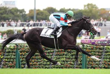 【新馬戦】シルヴァノーブル 3馬身半差デビュー勝ち 昆師が納得顔「スタートはセンスあり、余力もありそうだった」
