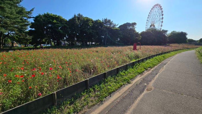 郡司陸永「癒しとパワーチャージ」(提供写真)