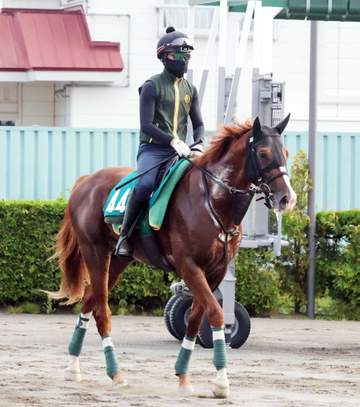 【札幌2歳S】ノヴァヴェローチェ 王道へ第一歩 エフフォーリア初年度産駒期待の星 父の届かなかったダービー制覇を